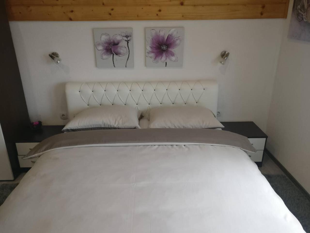 Guest House Jagoda Раковица Экстерьер фото